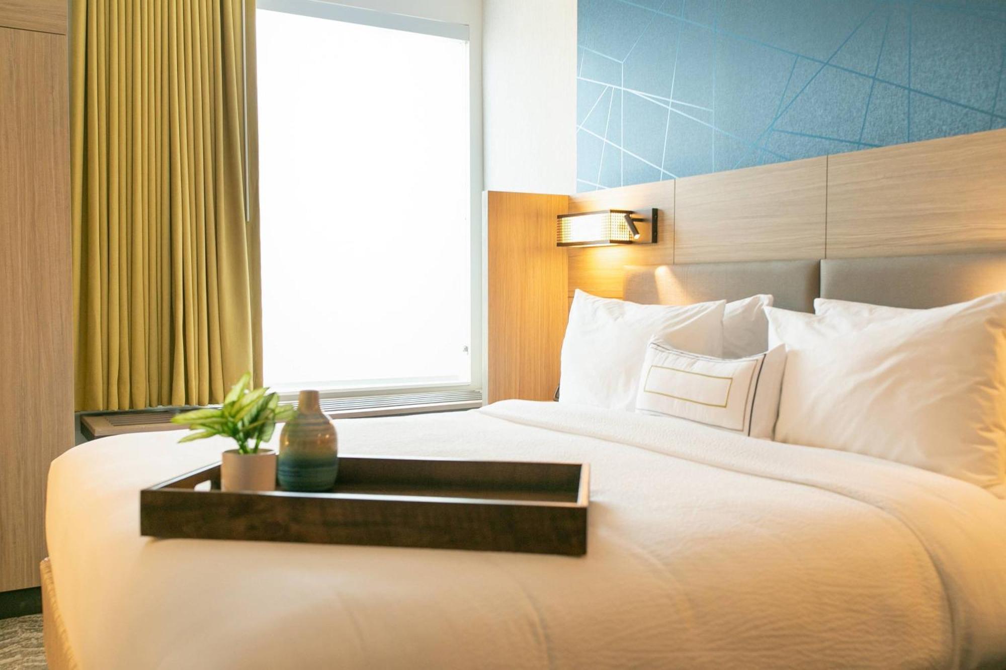 Suite, 1 King, Sofa bed