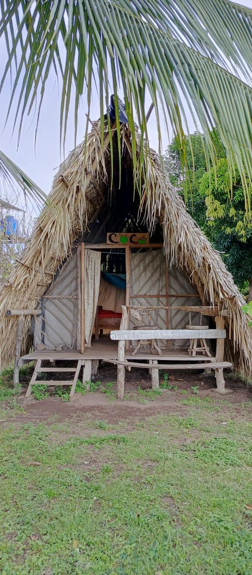 Twin Room with Terrace
