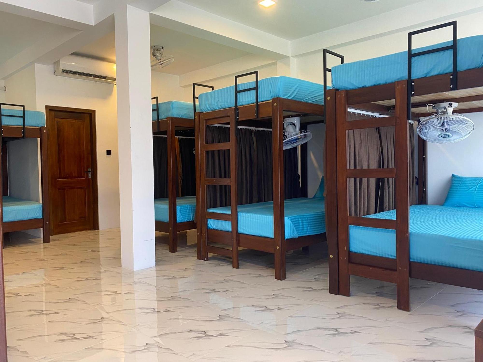 Bunk Bed Mixed Dormitory Room