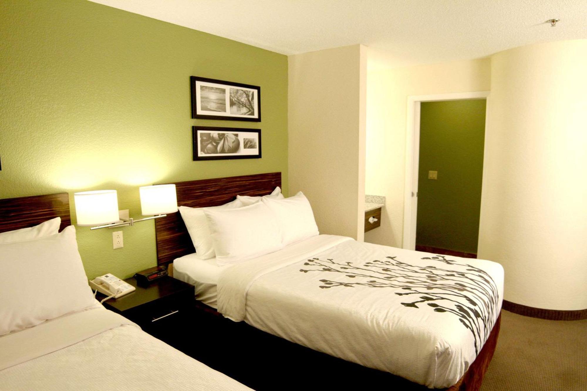 Standard Double Room Two Double Beds Non-Smoking