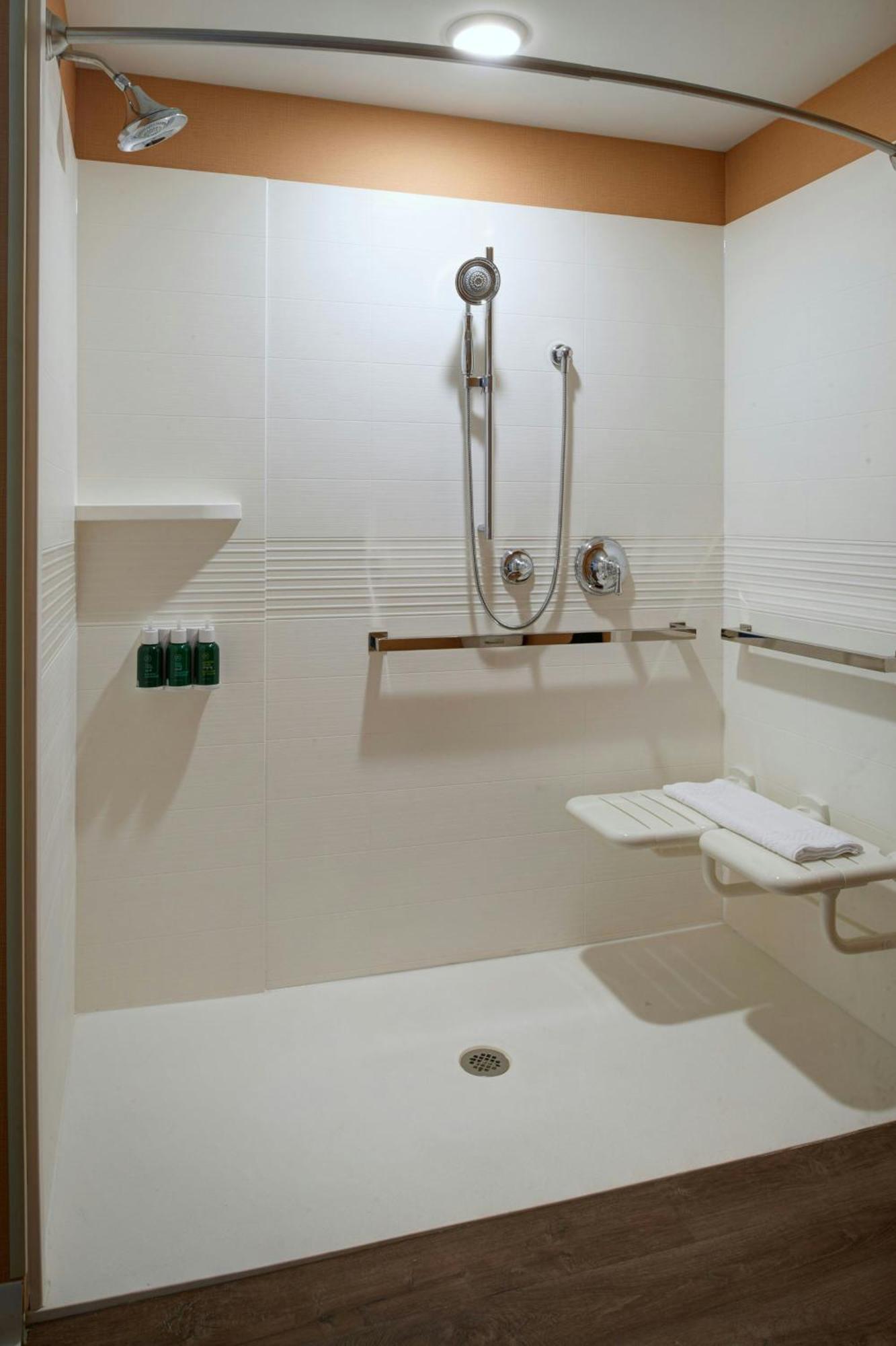 King Studio with Sofa Bed and Roll-in Shower - Mobility Accessible