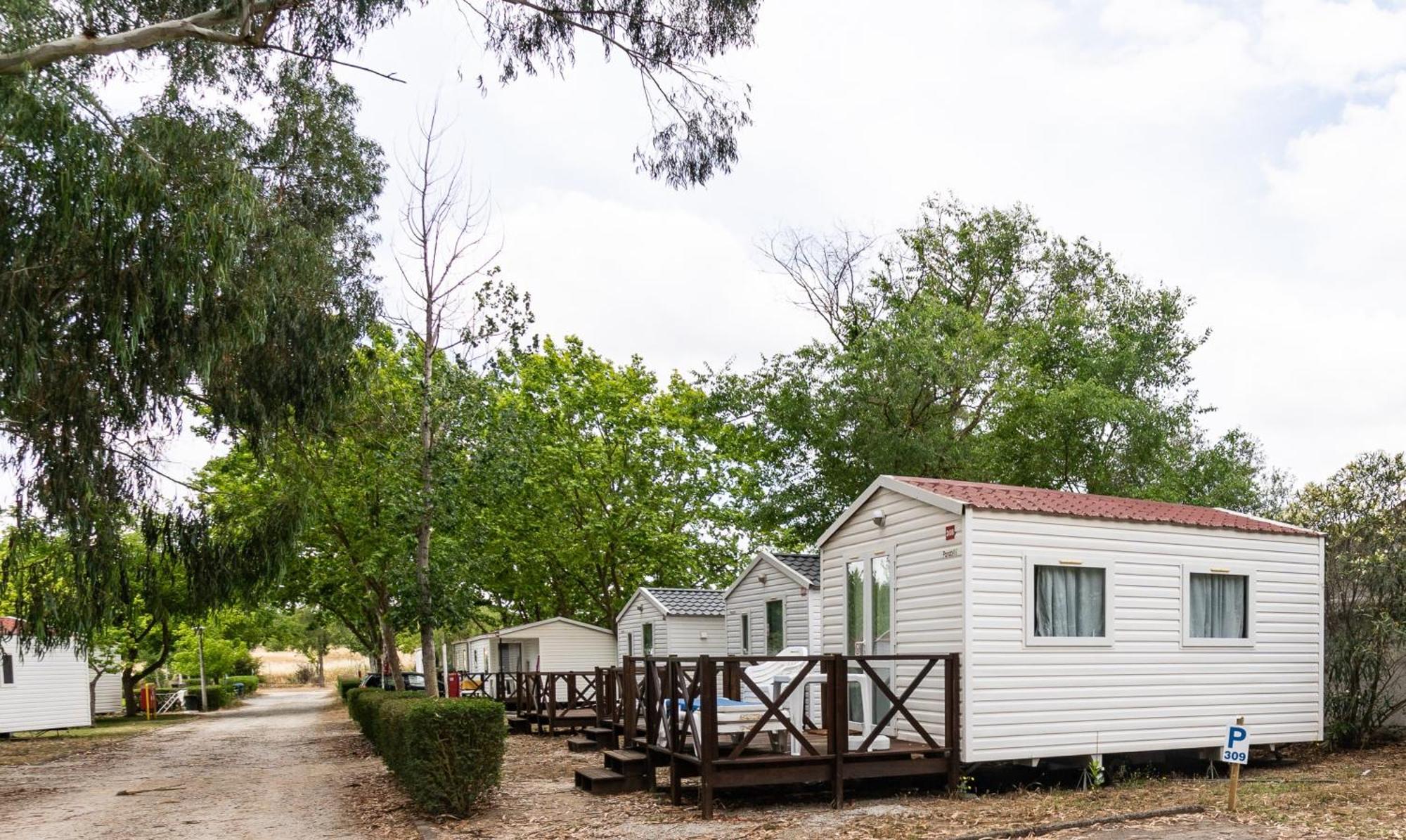 Mobile Home,1637722092:JPEG