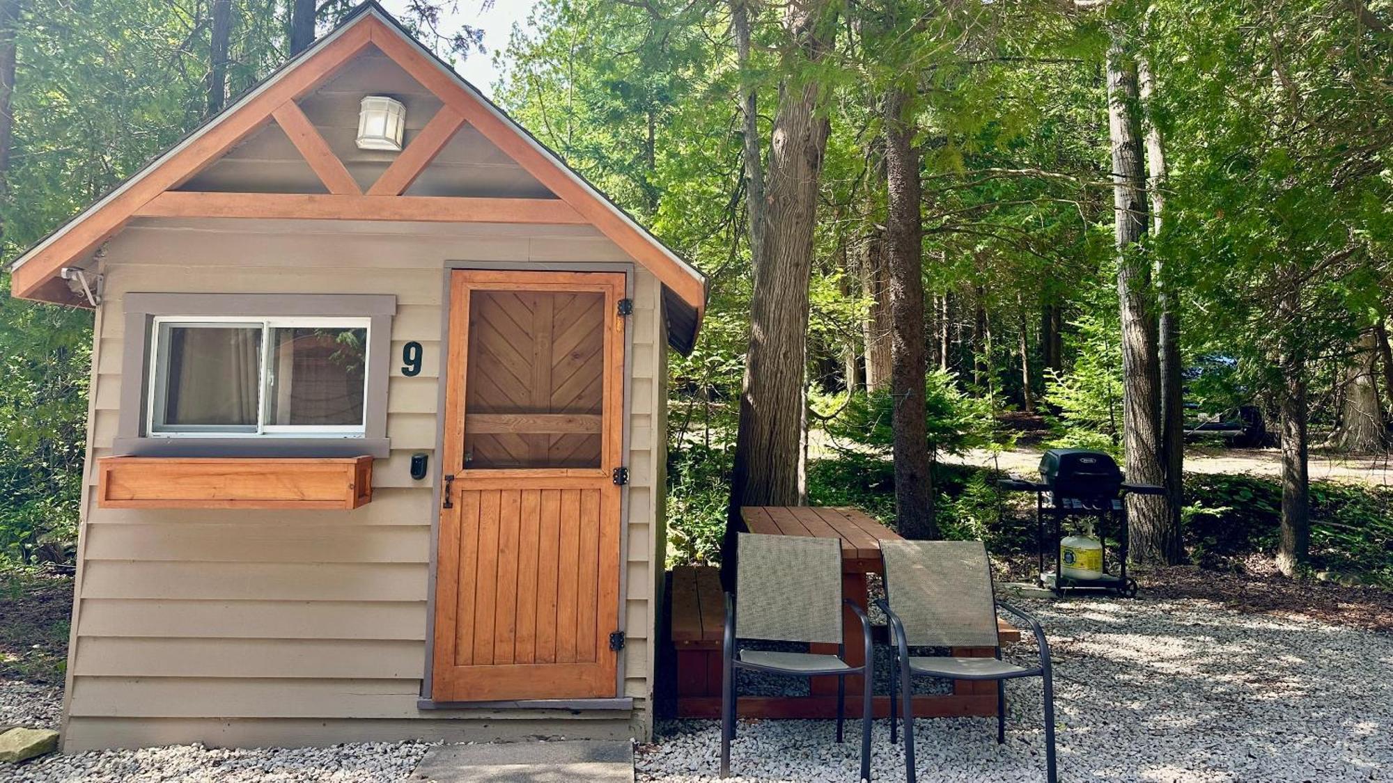 Cabin 9