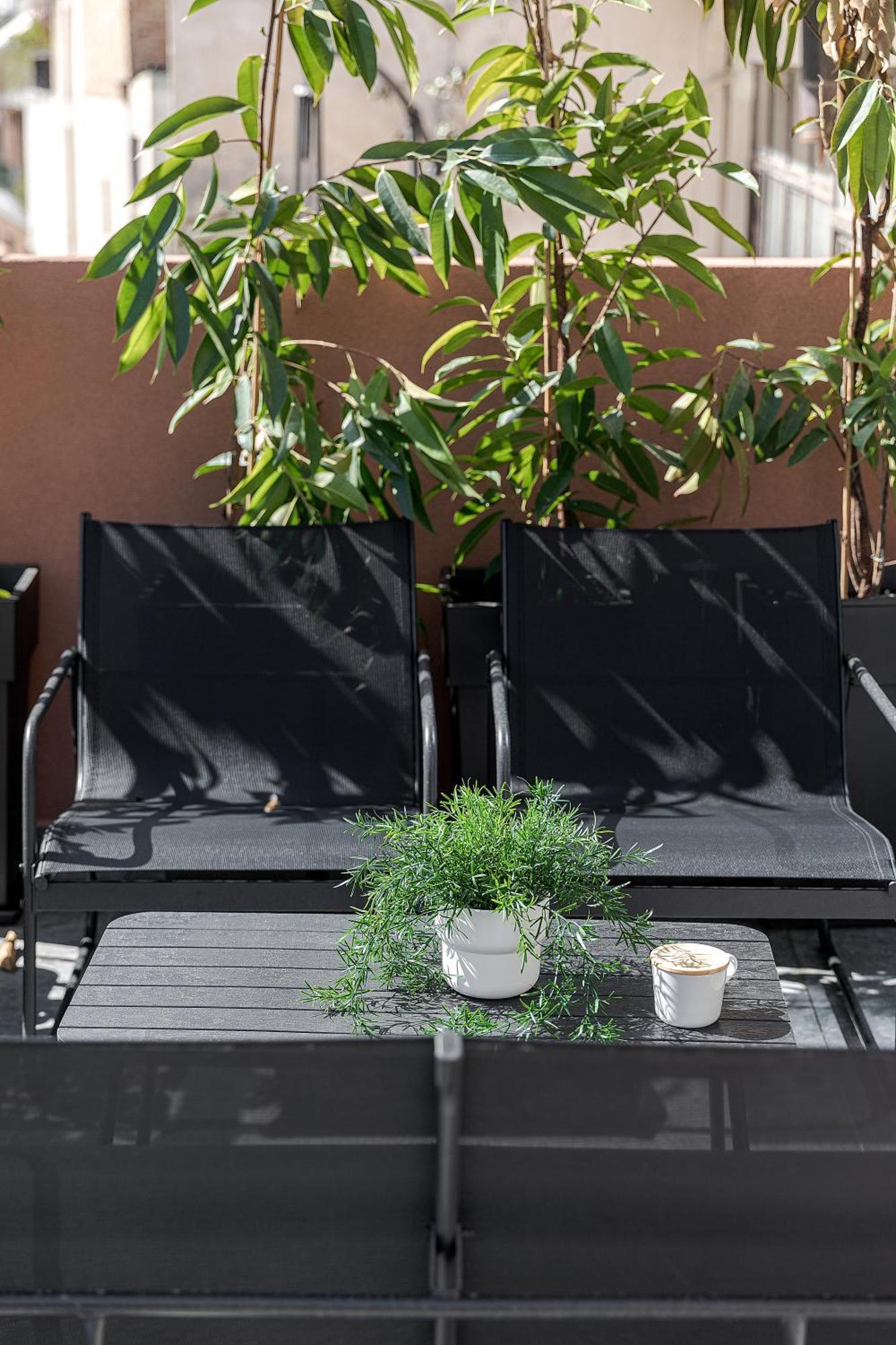 Suite Junior con terraza