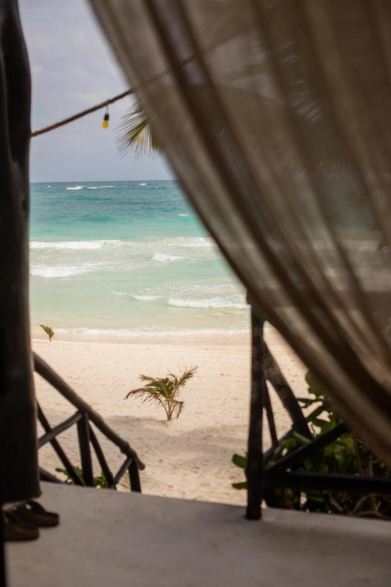 OCEANFRONT SUITE TERRACE