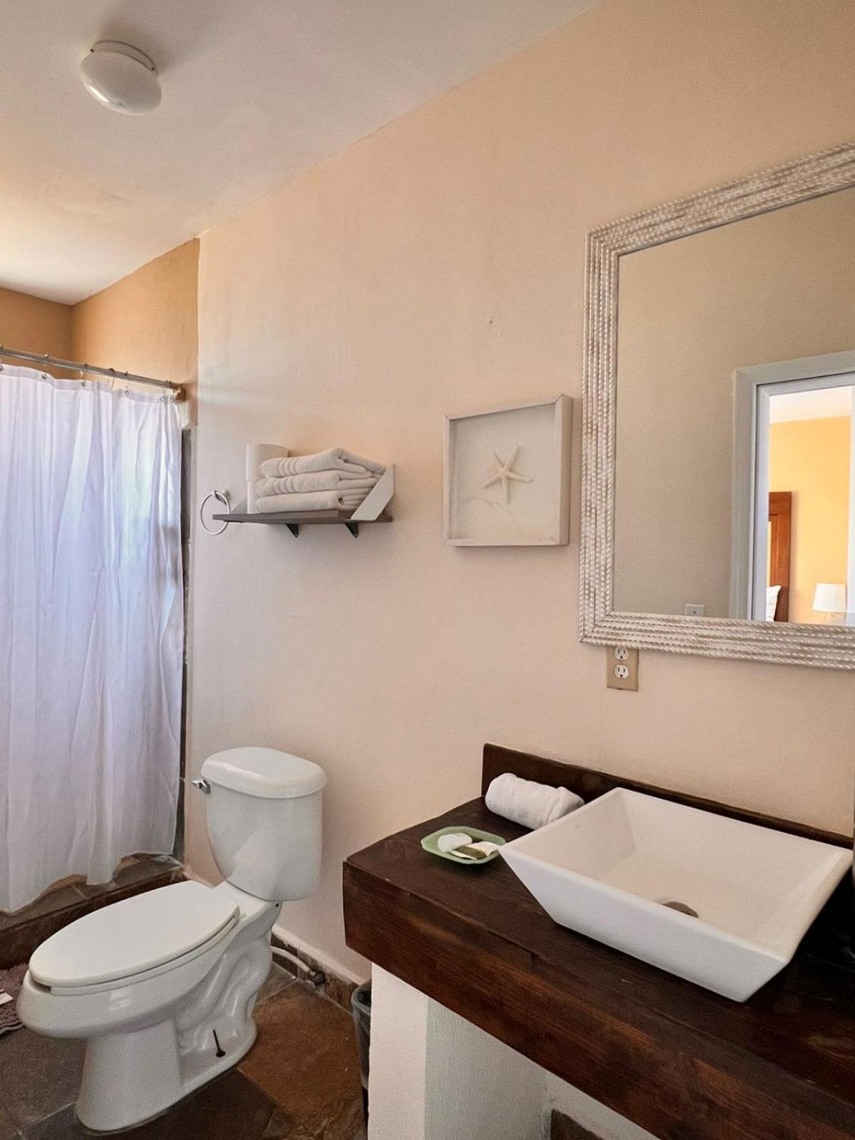Single Queen Room with sofa bed