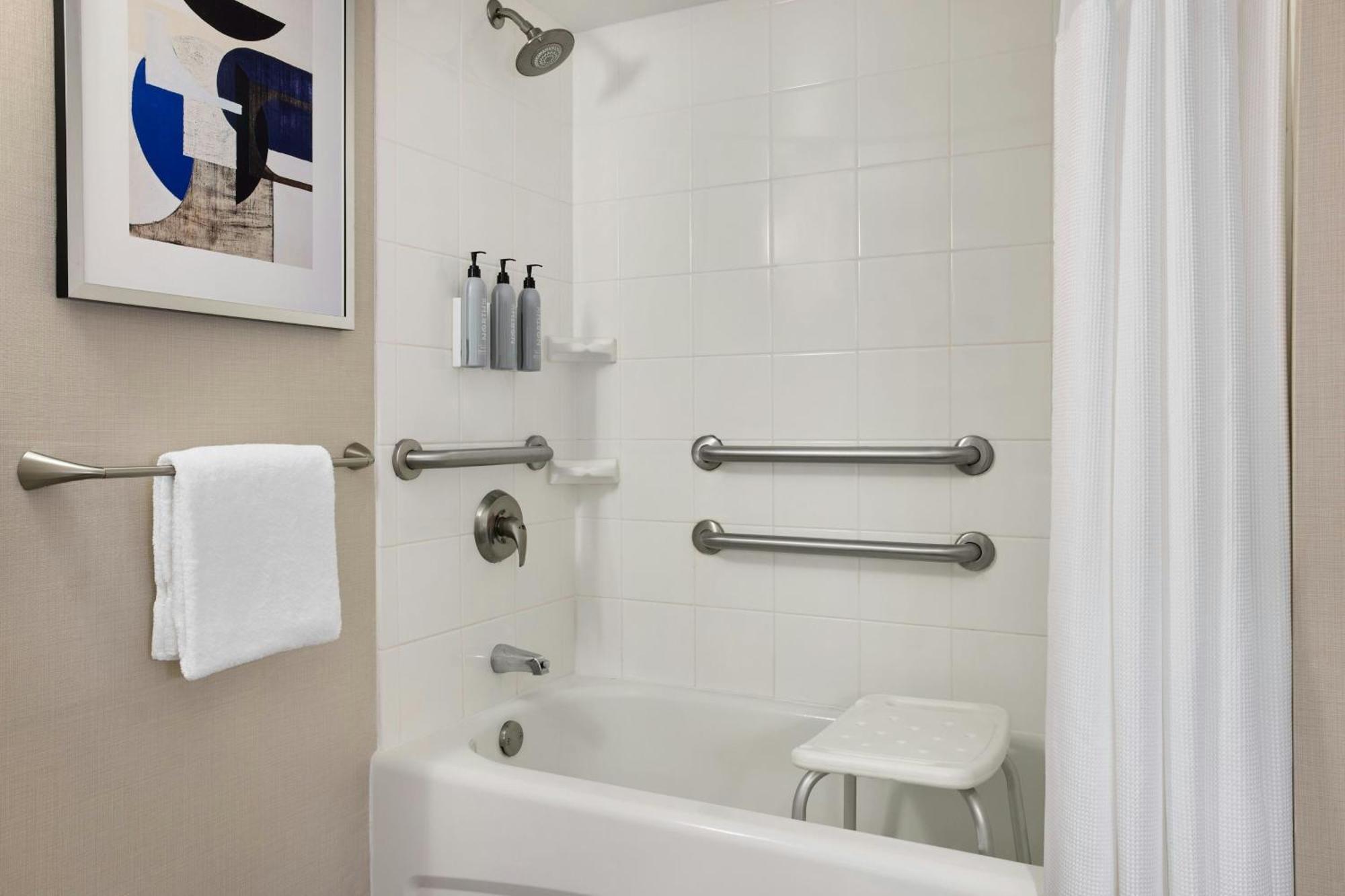 King Room Bathtub Sofa Bed Mobility Access or Hearing Accessible