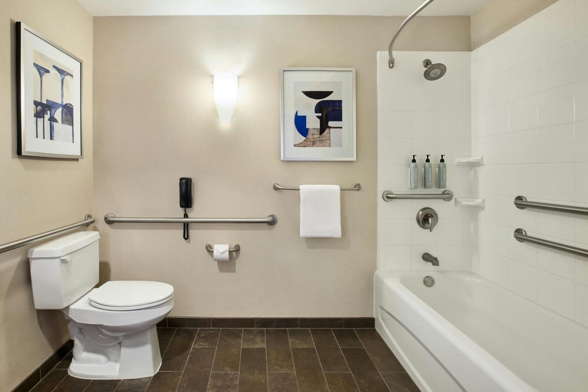 King Room Bathtub Sofa Bed Mobility Access or Hearing Accessible