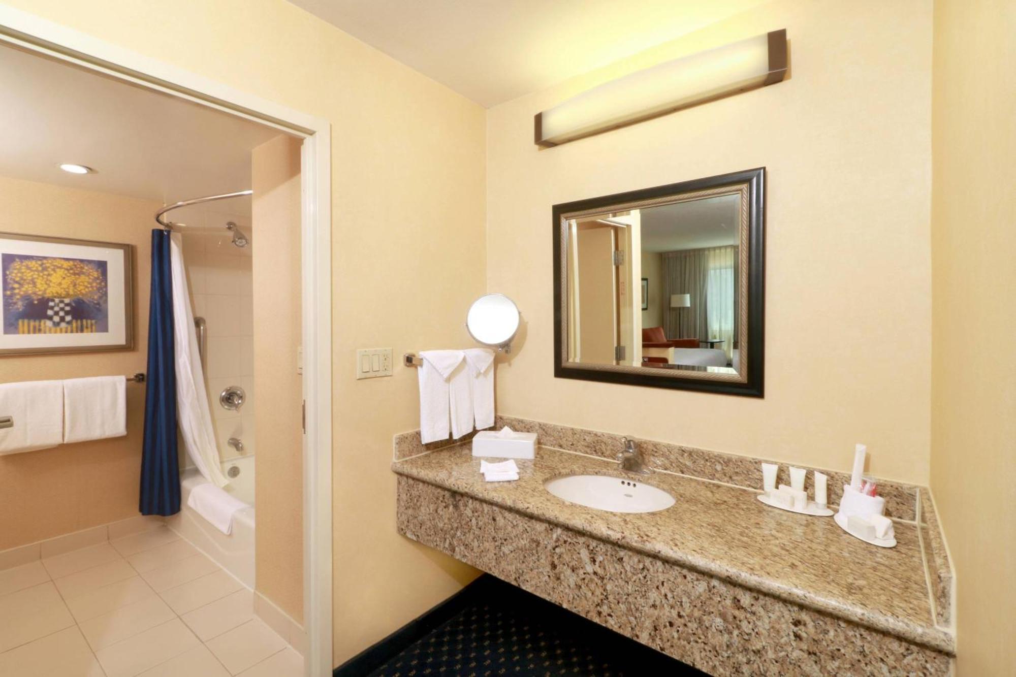 King Suite with Sofa Bed