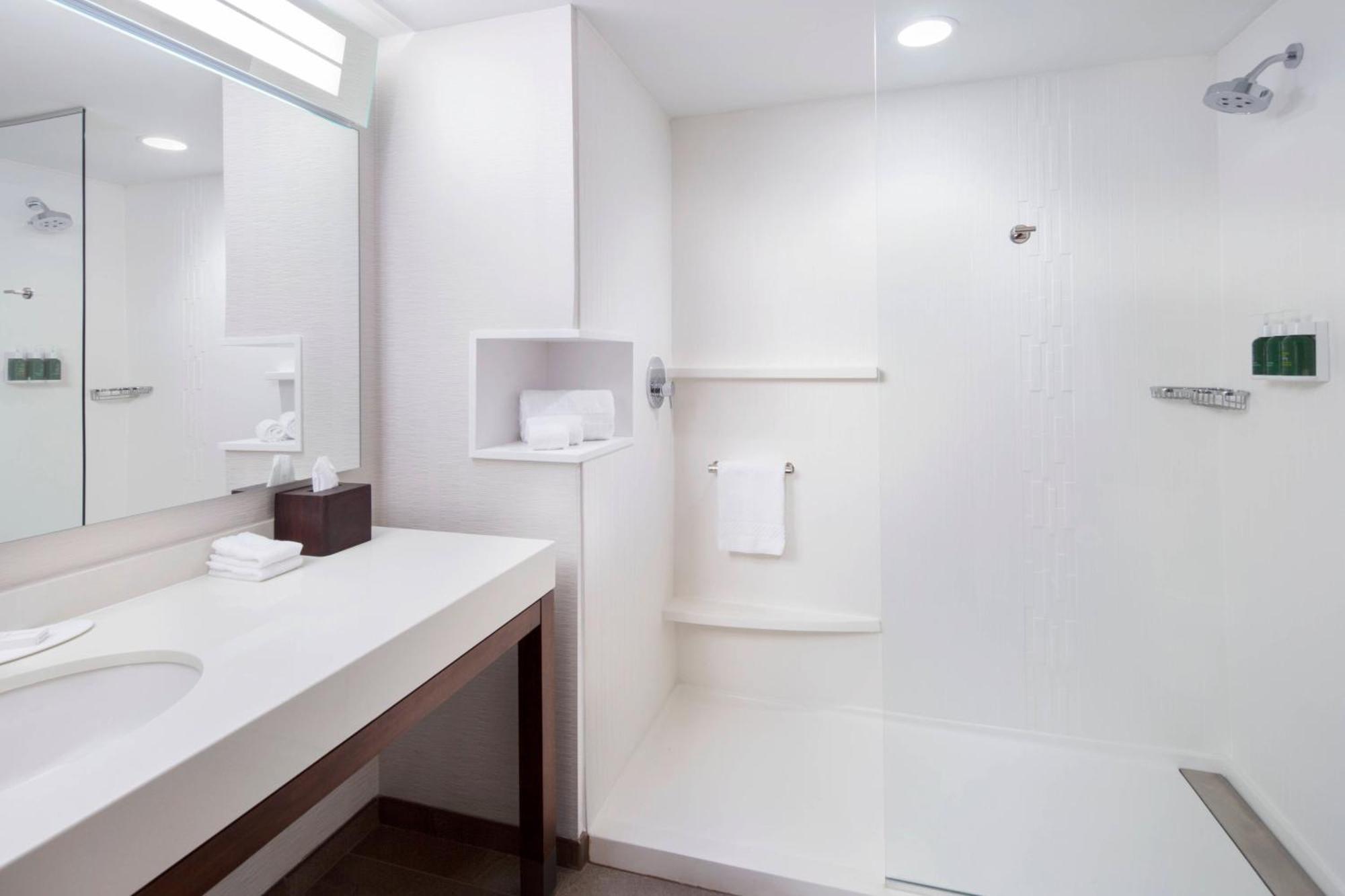 King Room with Roll-In Shower and Sofa Bed - Mobility Access/Hearing Accessible