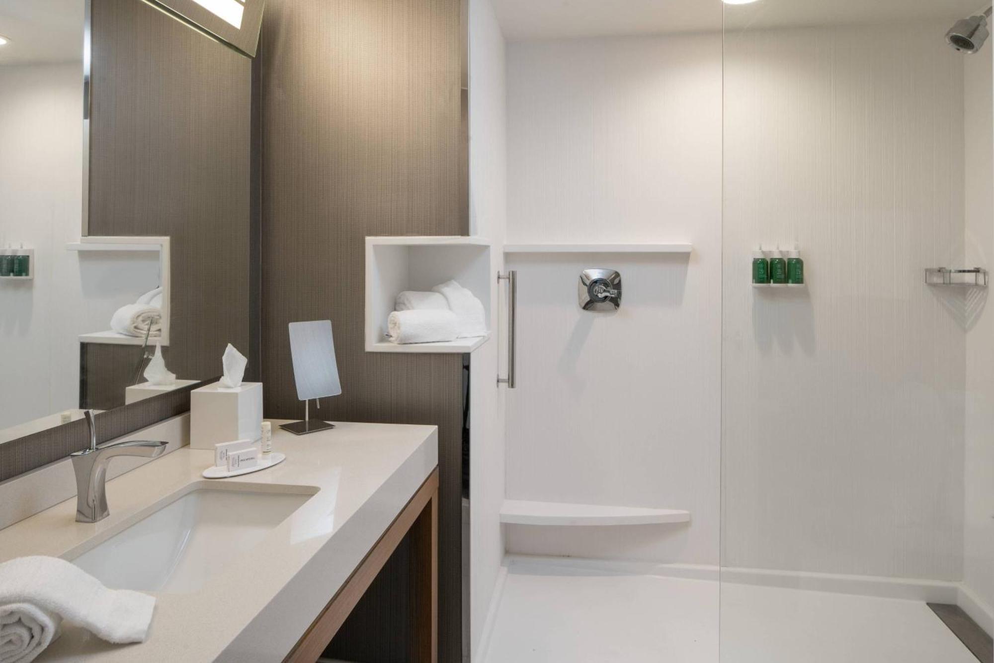 King Room with Roll-In Shower and Sofa Bed - Mobility Access/Hearing Accessible