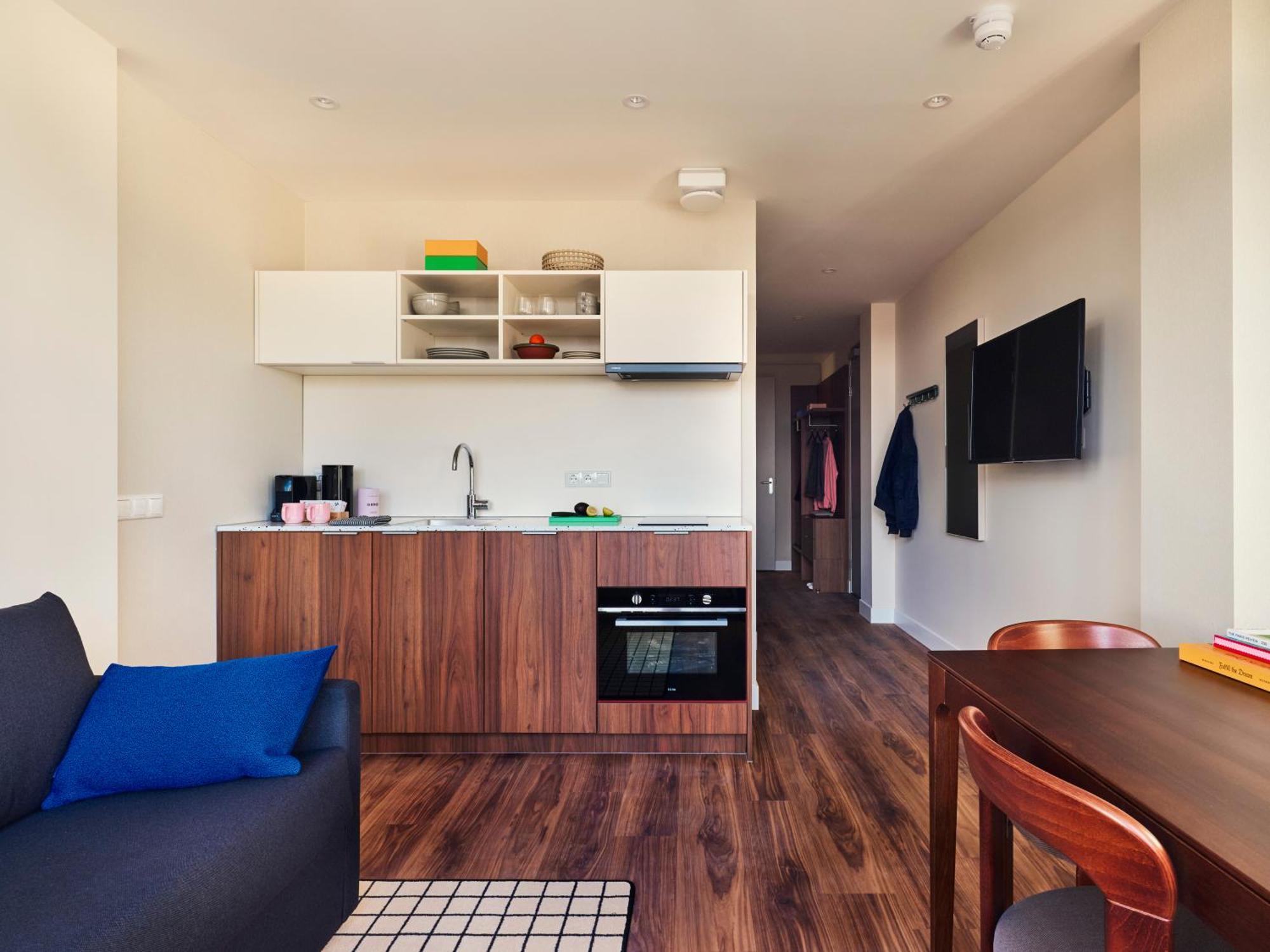 1 Bedroom Apartment Sofa Bed