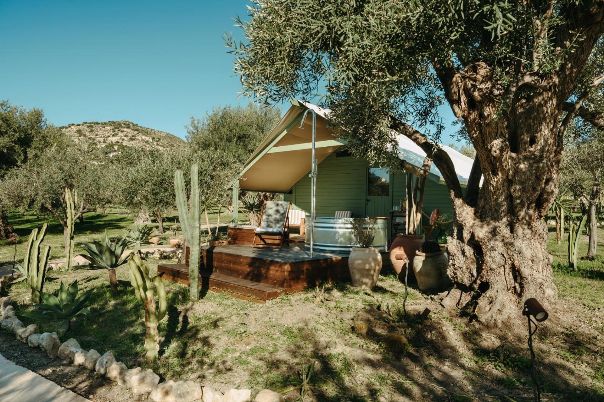 Deluxe Bungalow