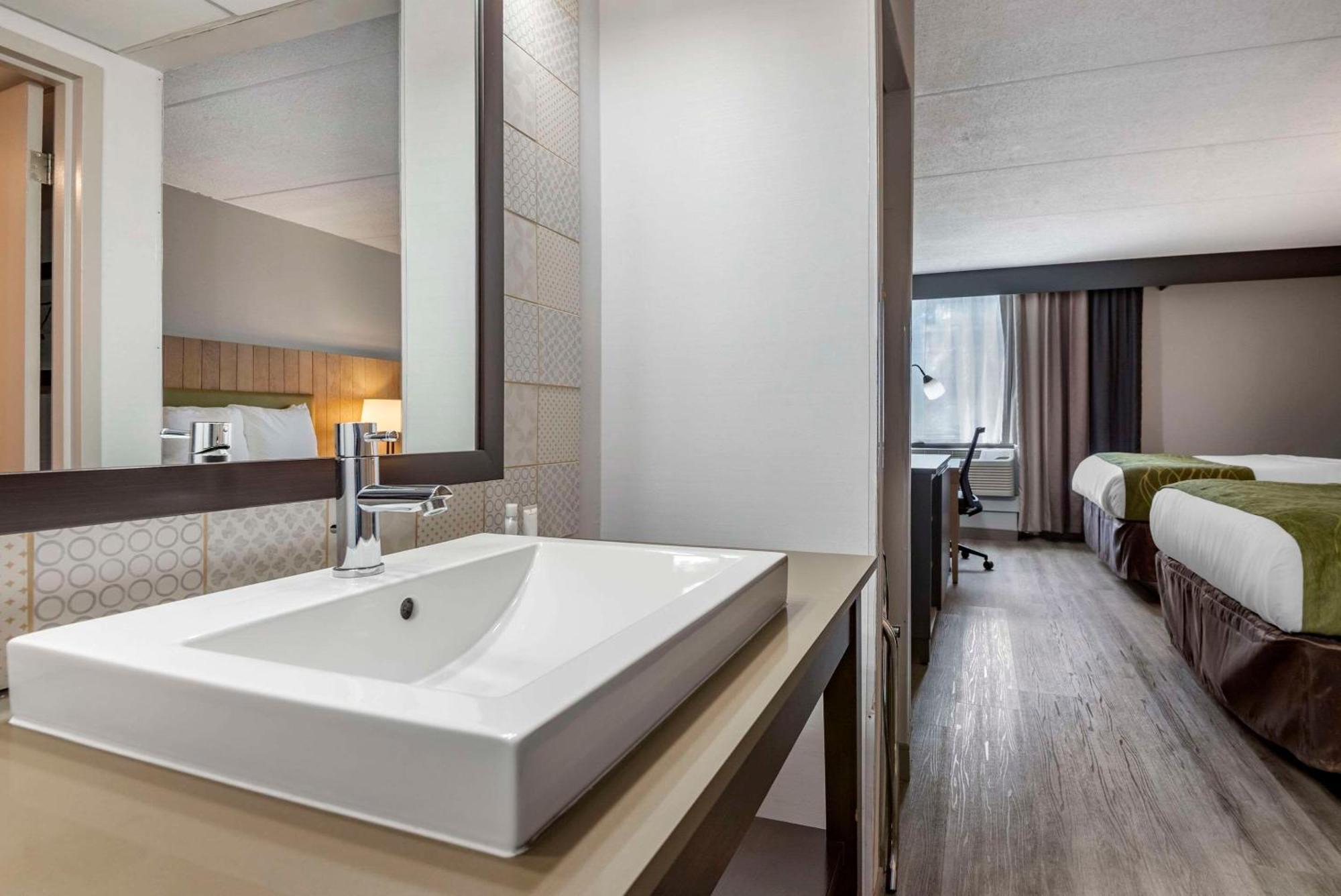 Executive Suite with Two Queen Beds  and Sofa Bed - Non Smoking