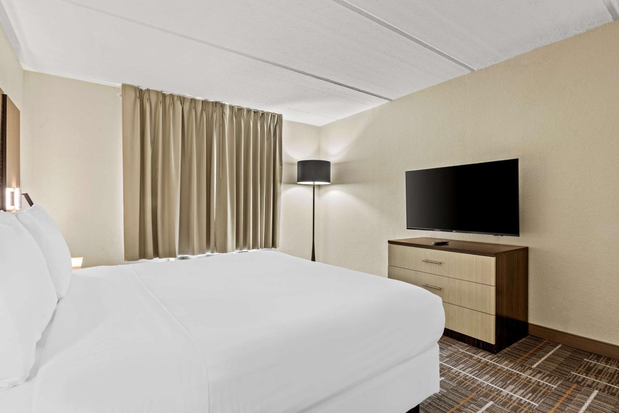 Suíte de 1 Quarto com Cama King-size - Não Fumantes