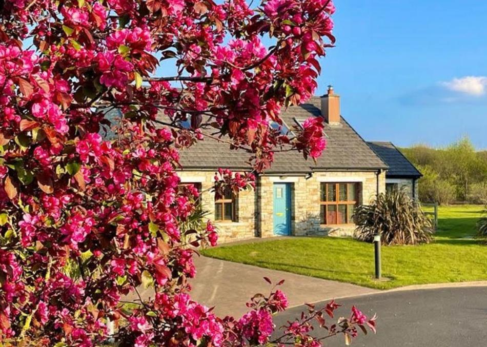 Three-Bedroom House - Pet Friendly