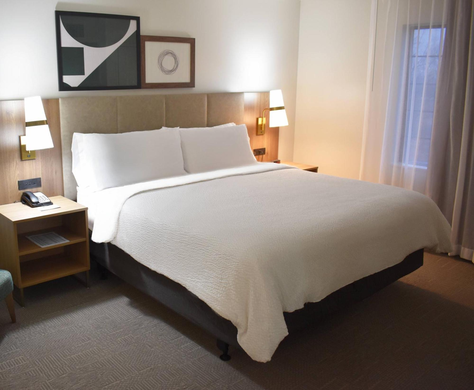 One-Bedroom Queen Suite