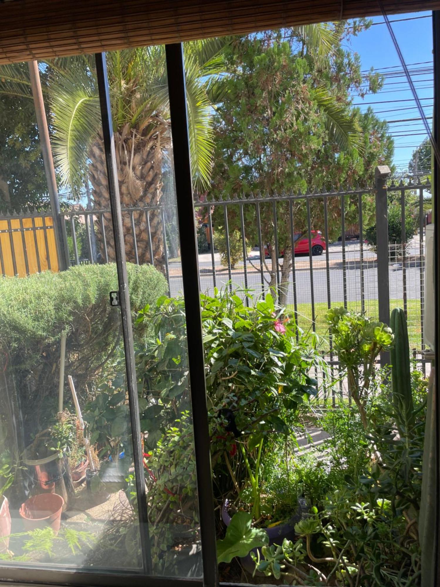 Standard Double Room,1654370337:JPEG