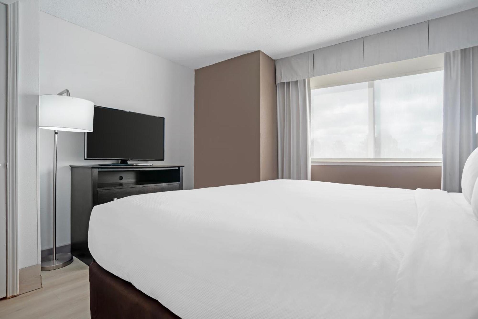 1 King Bed, Suite, 2 - Person Sofabed