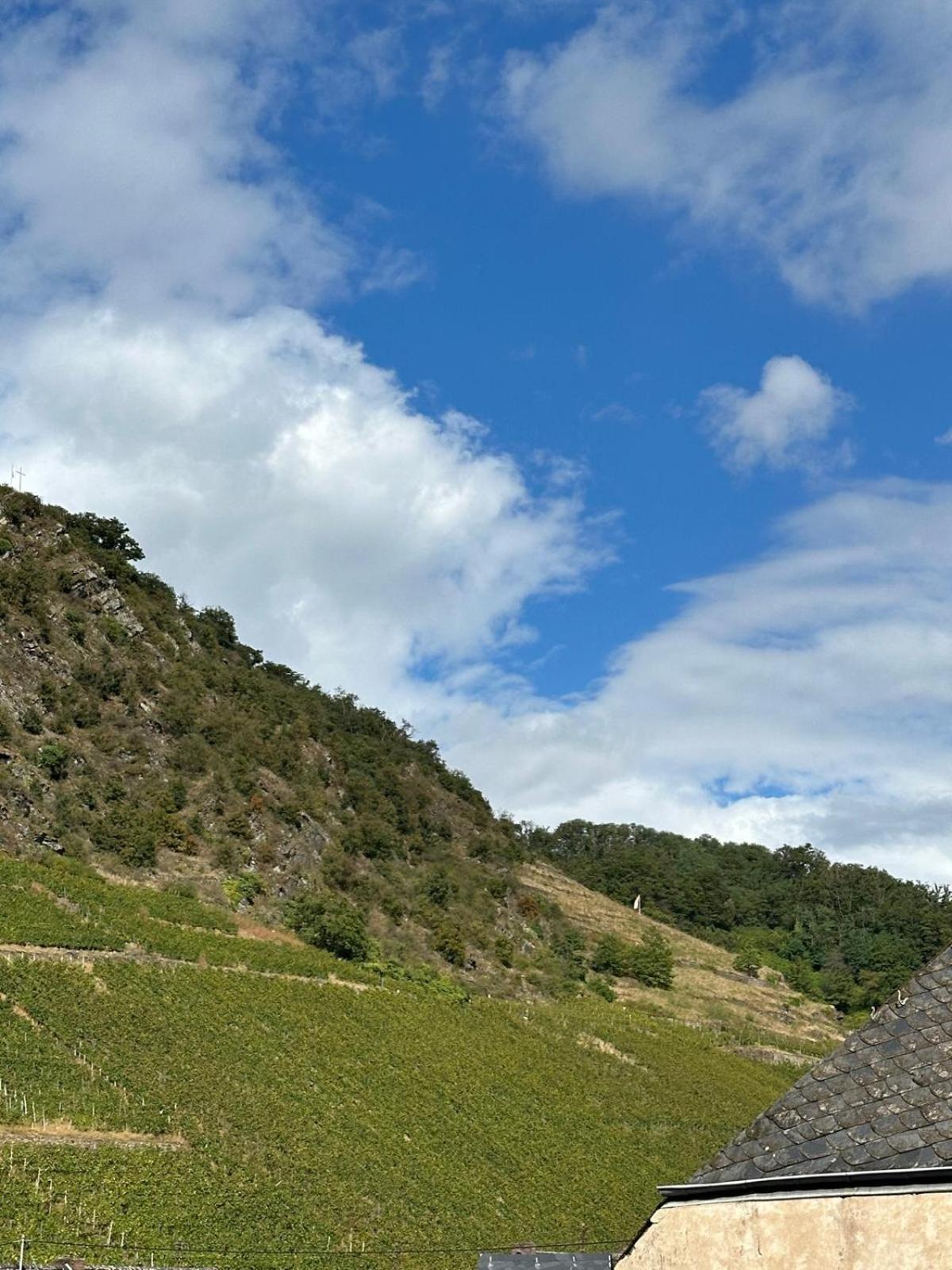 Einzelzimmer mit Bergblick