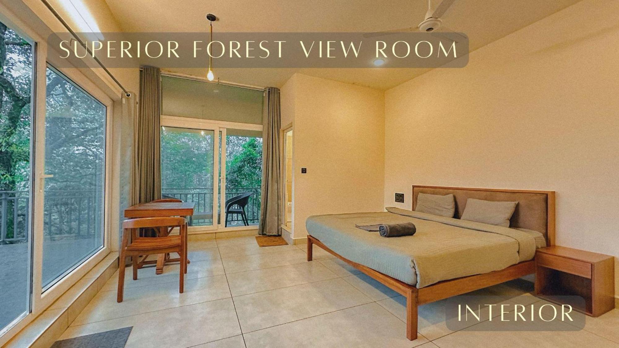 Forest View Family Room