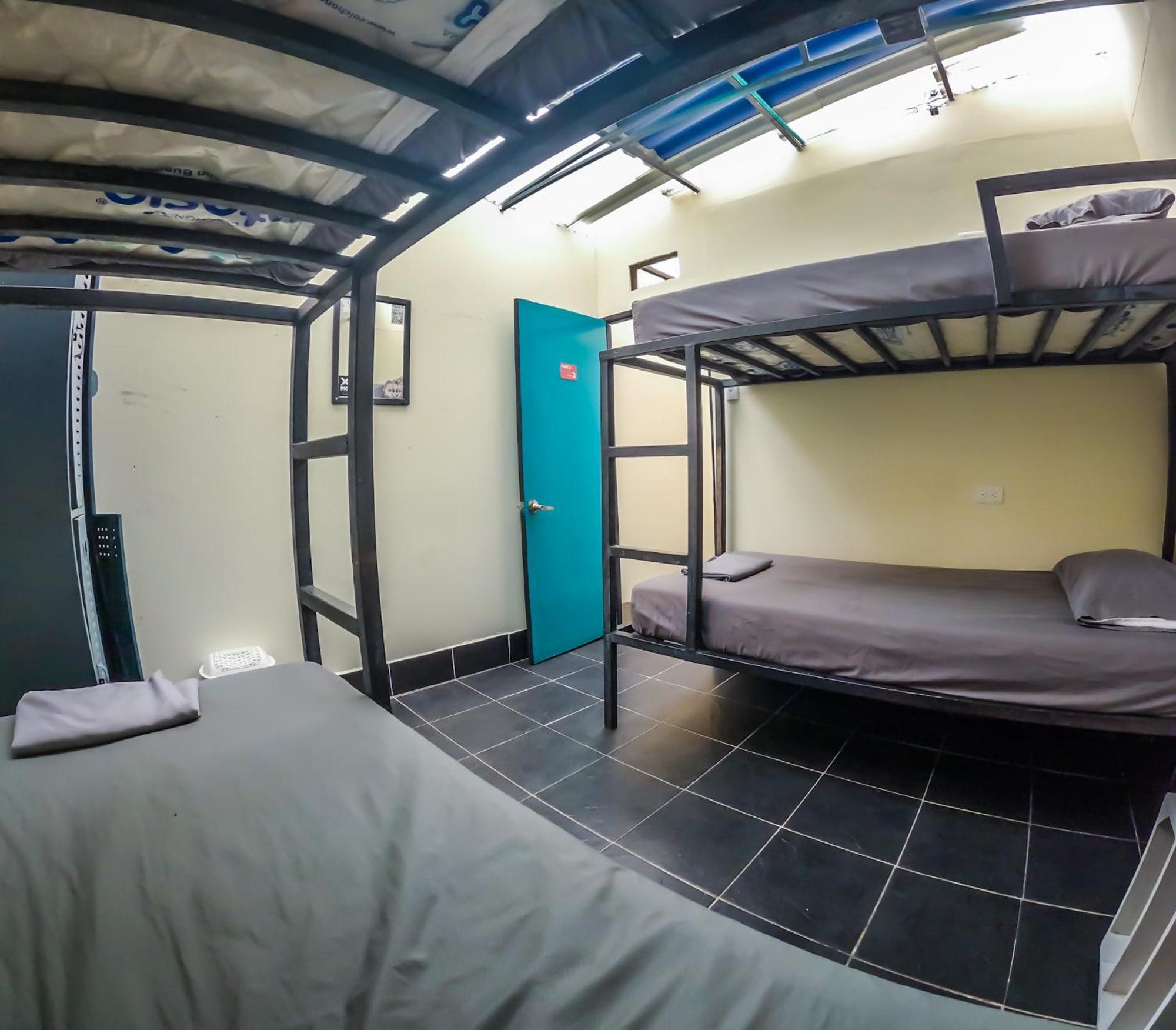 Bed in 4-Bed Dormitory Room