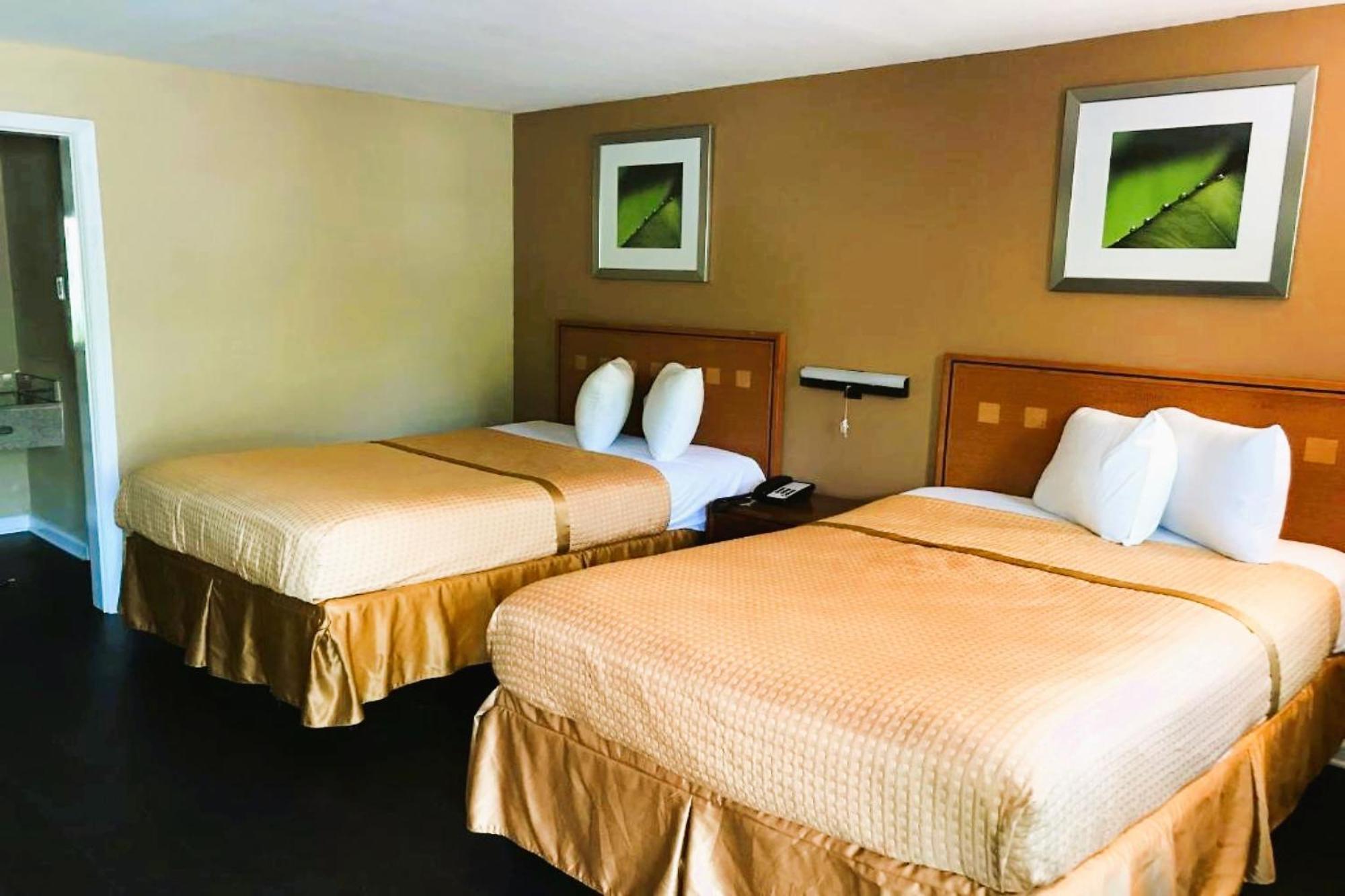 Deluxe Double Room Two Double Beds