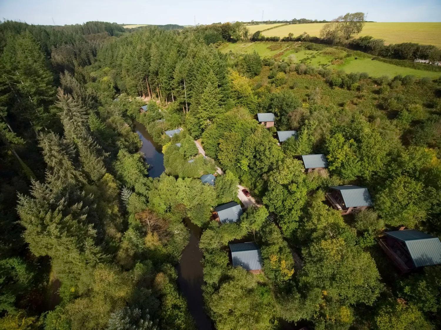 Golden Oak Cabin (pet-friendly)