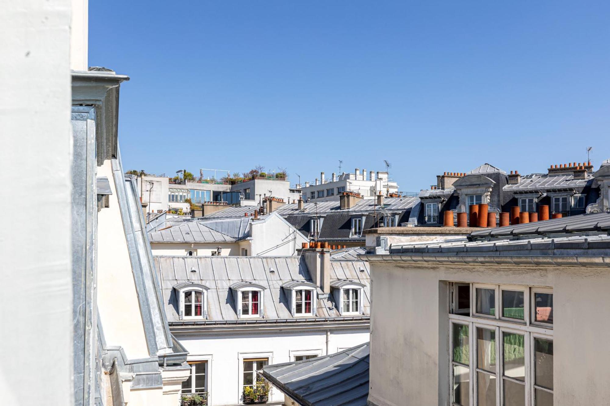 One-Bedroom Apartment View of the Paris rooftops