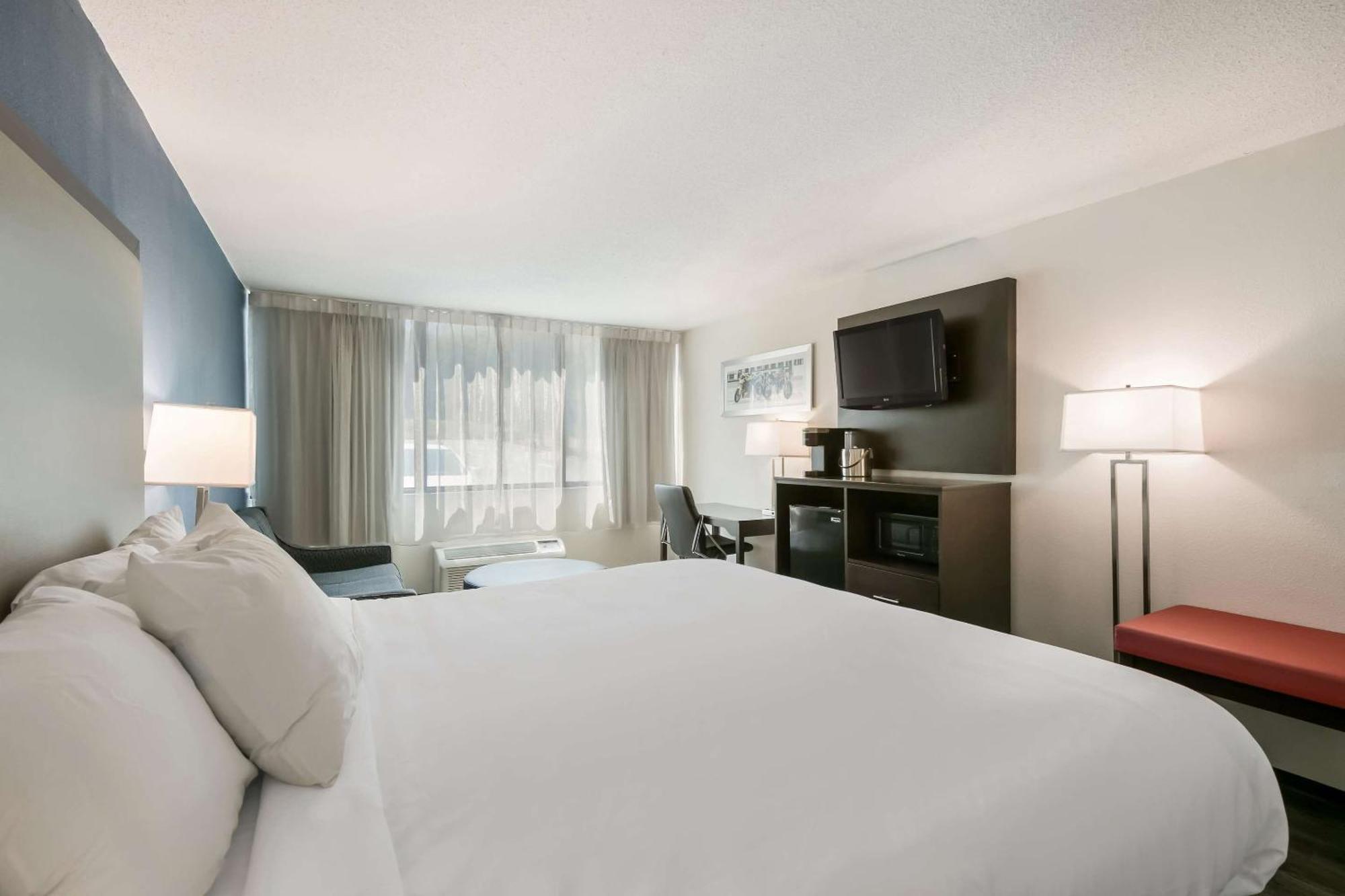 Standard King Room with Sofa Bed - Non Smoking