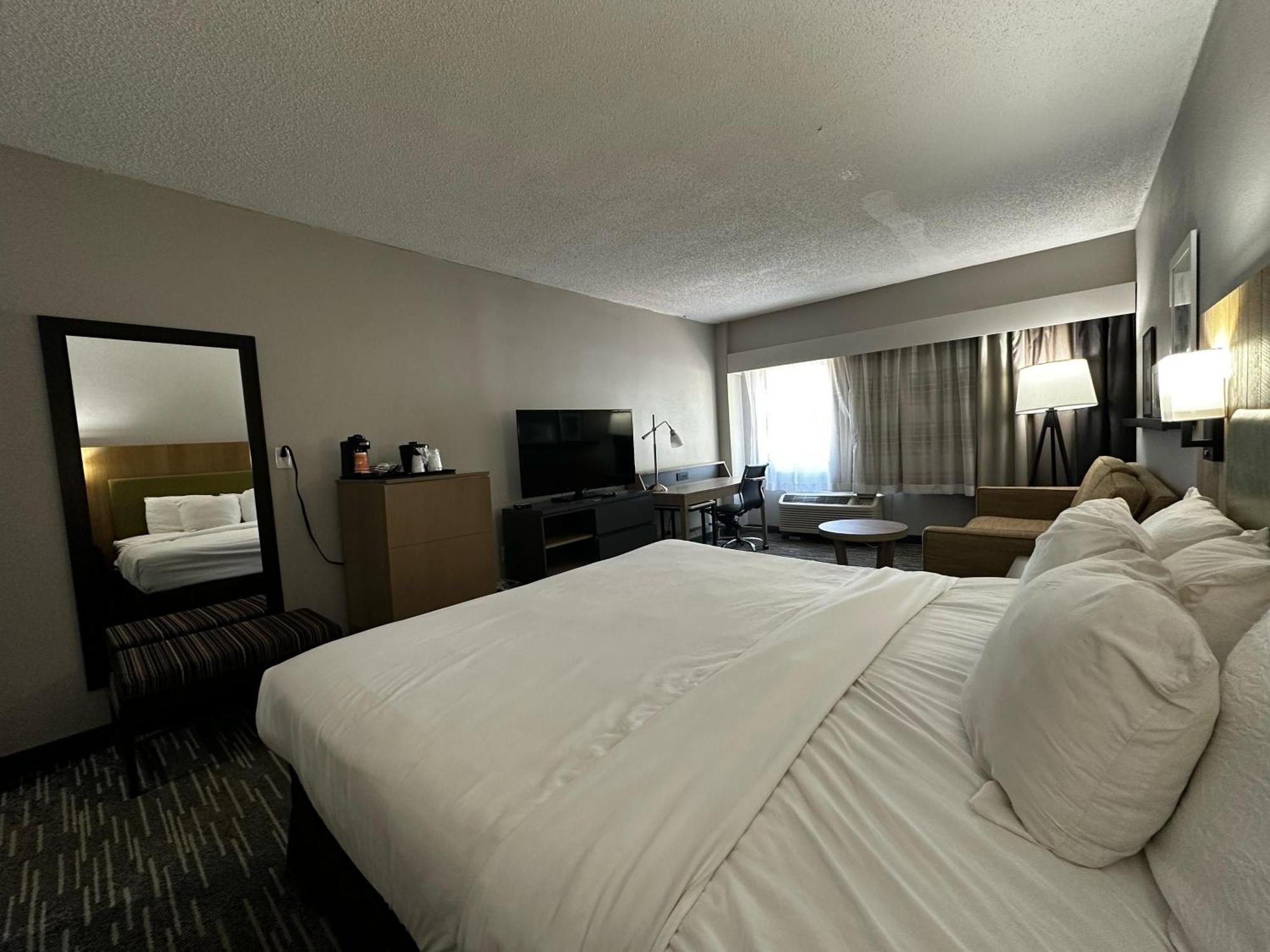 Executive King Room with Sofa Bed