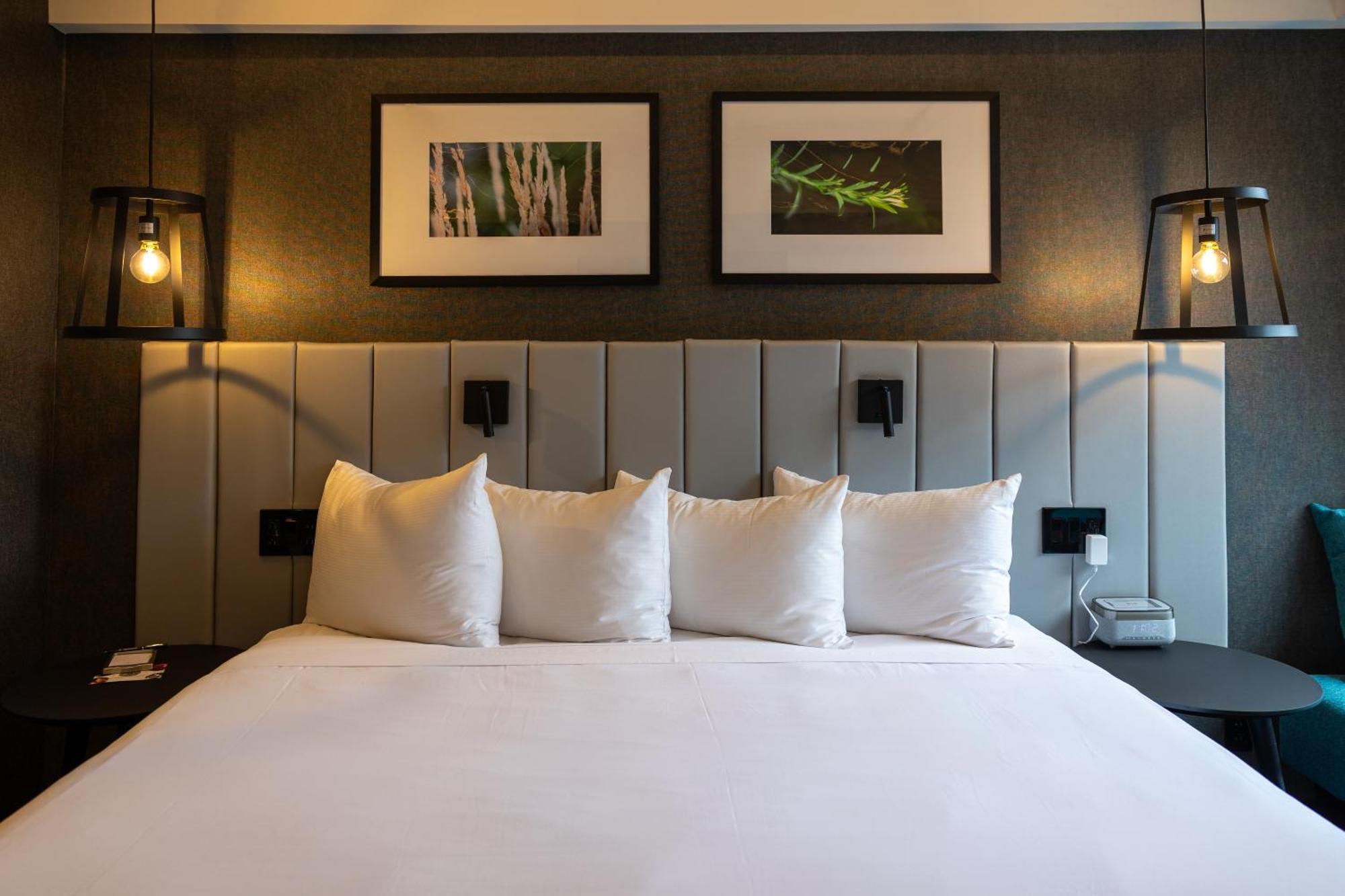 Superior King Room,1662979943:JPEG