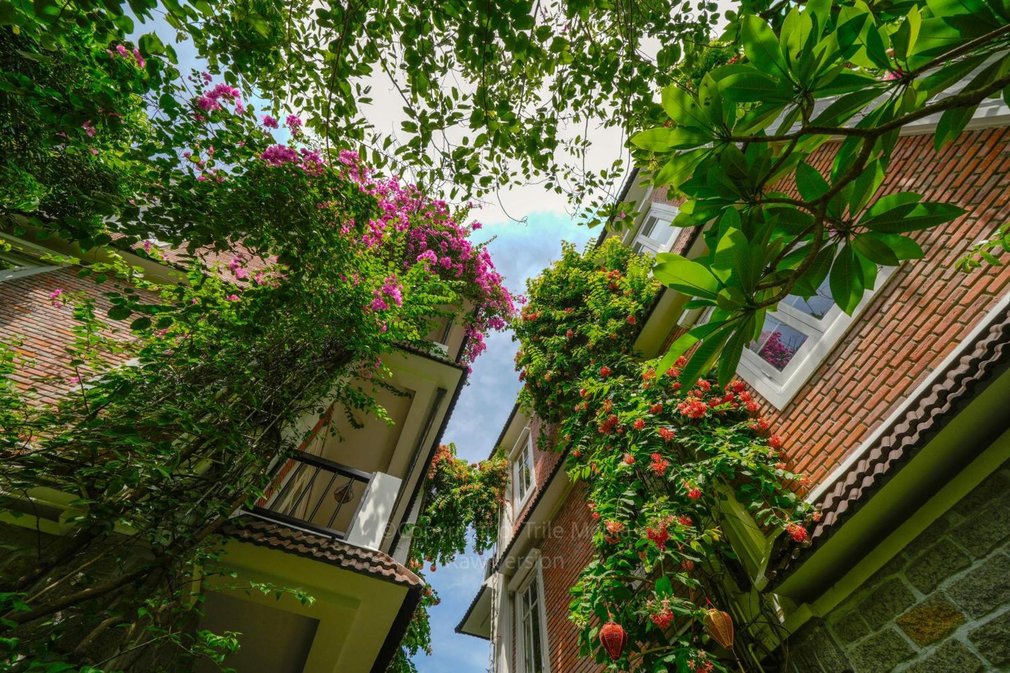Quadruple Room with Garden View