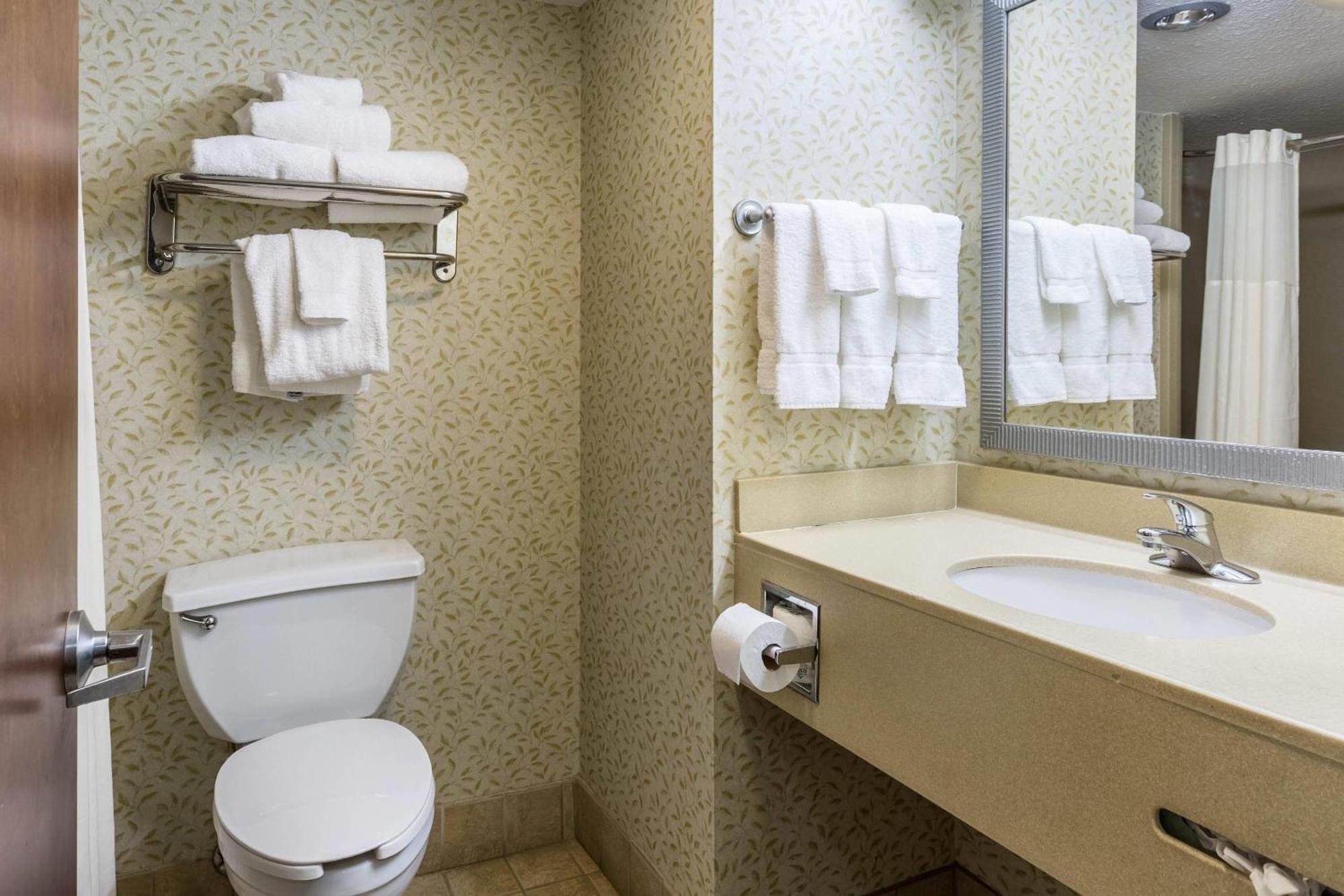 Double Room with Two Double Beds - Non-Smoking