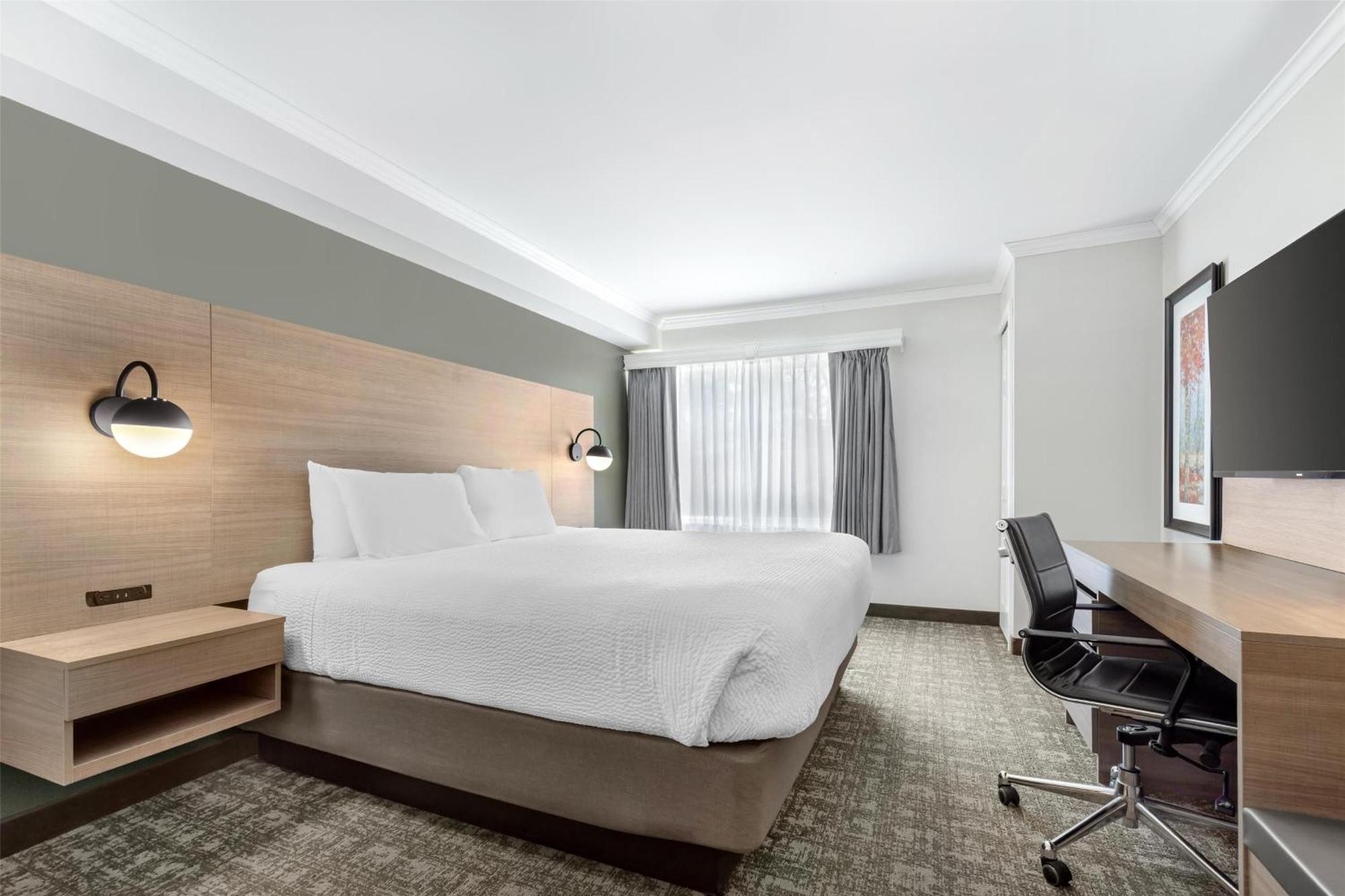 Two-Room Suite - Non-Smoking