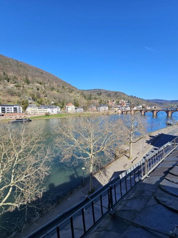 Standaard Tweepersoonskamer met Uitzicht op de Rivier