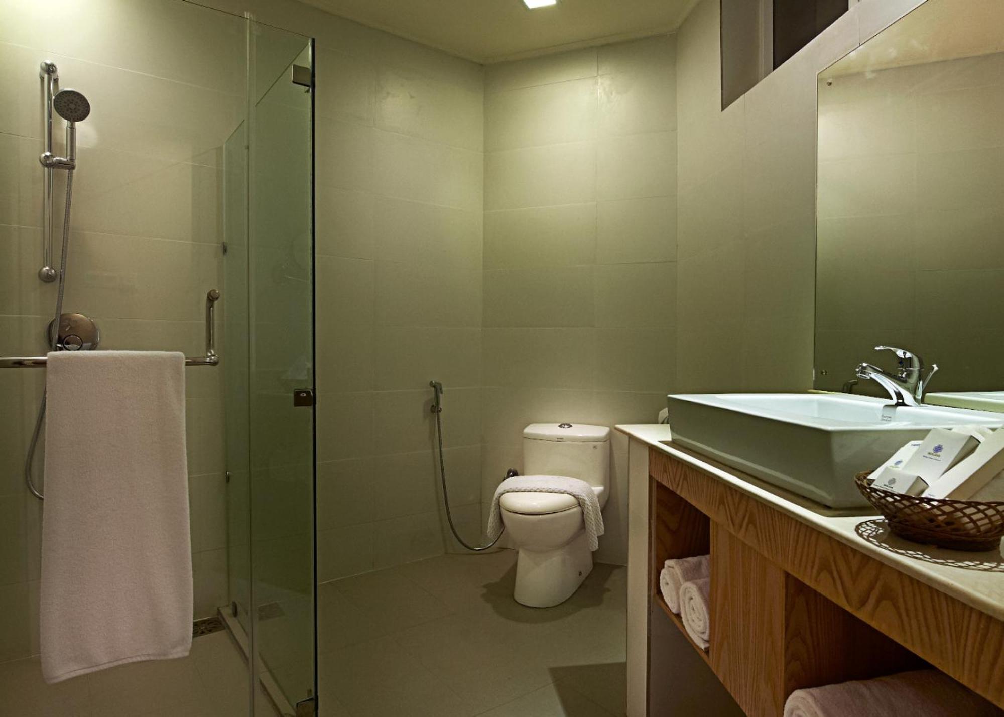 Deluxe Double or Twin Room