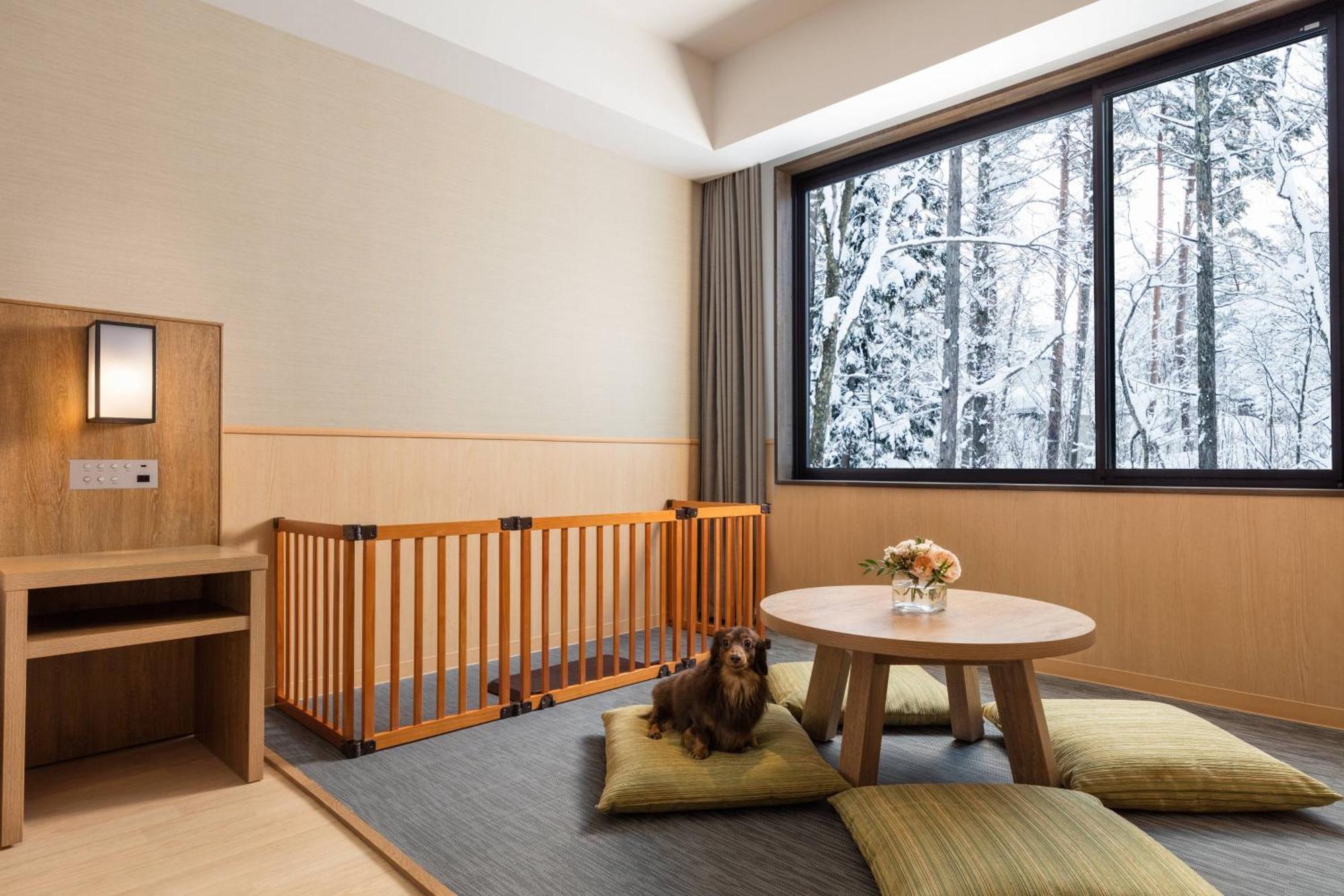 King Guest Room - Dog Friendly