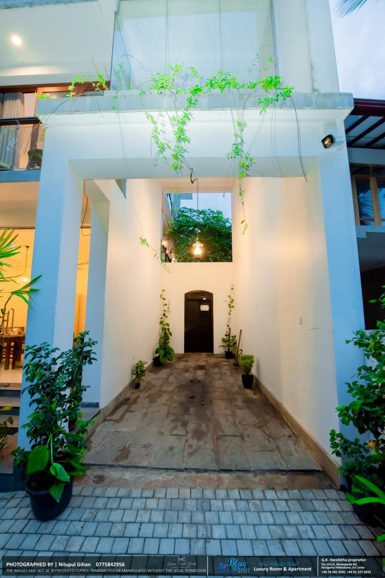 Deluxe One-Bedroom Apartment Garden View