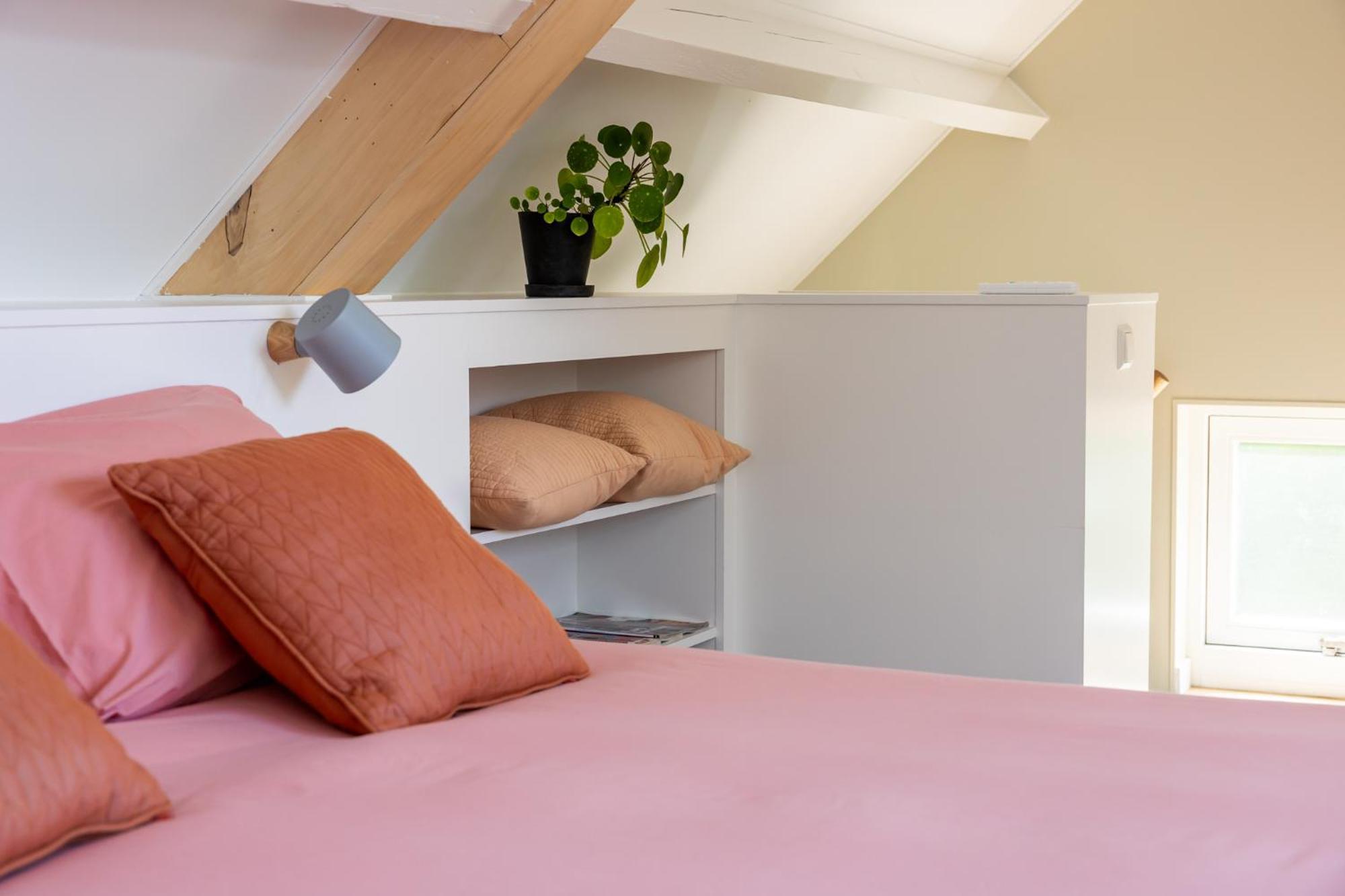 Deluxe Tweepersoonskamer met een Douche