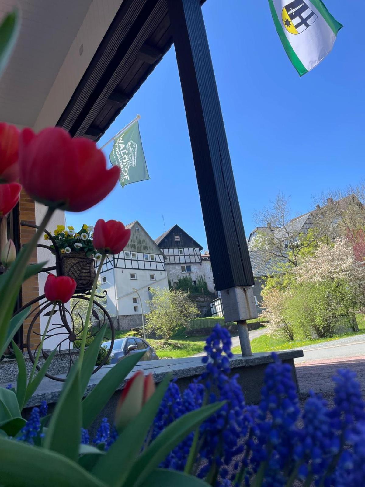 Deluxe Einzelzimmer mit Balkon
