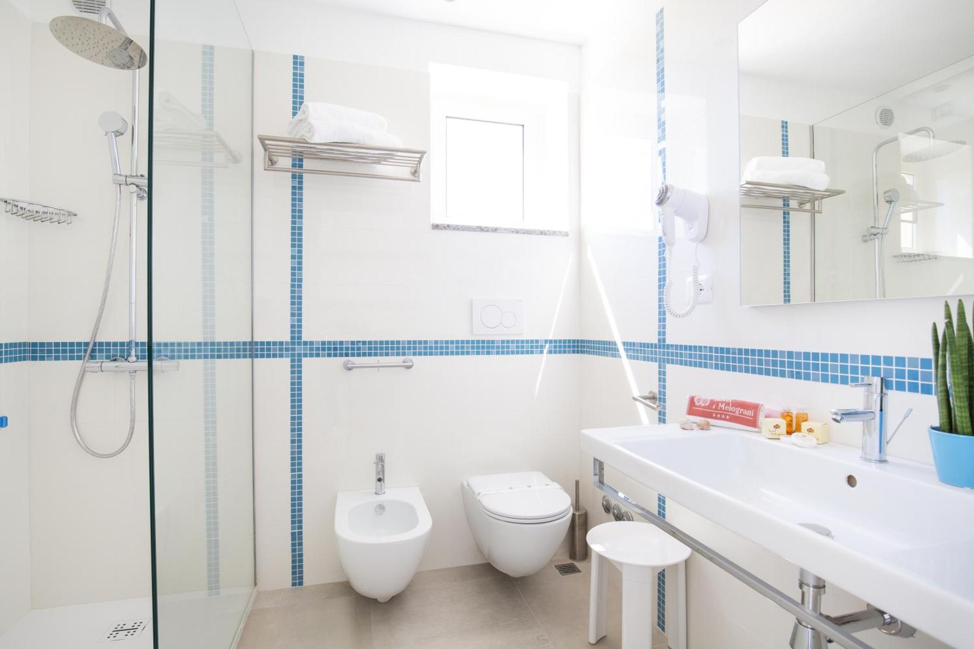 Deluxe Double or Twin Room with Panoramic View