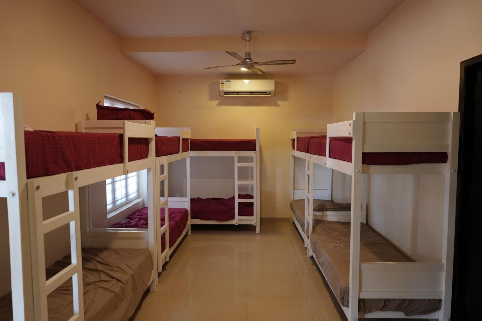 10-Bed Mixed Dormitory Room