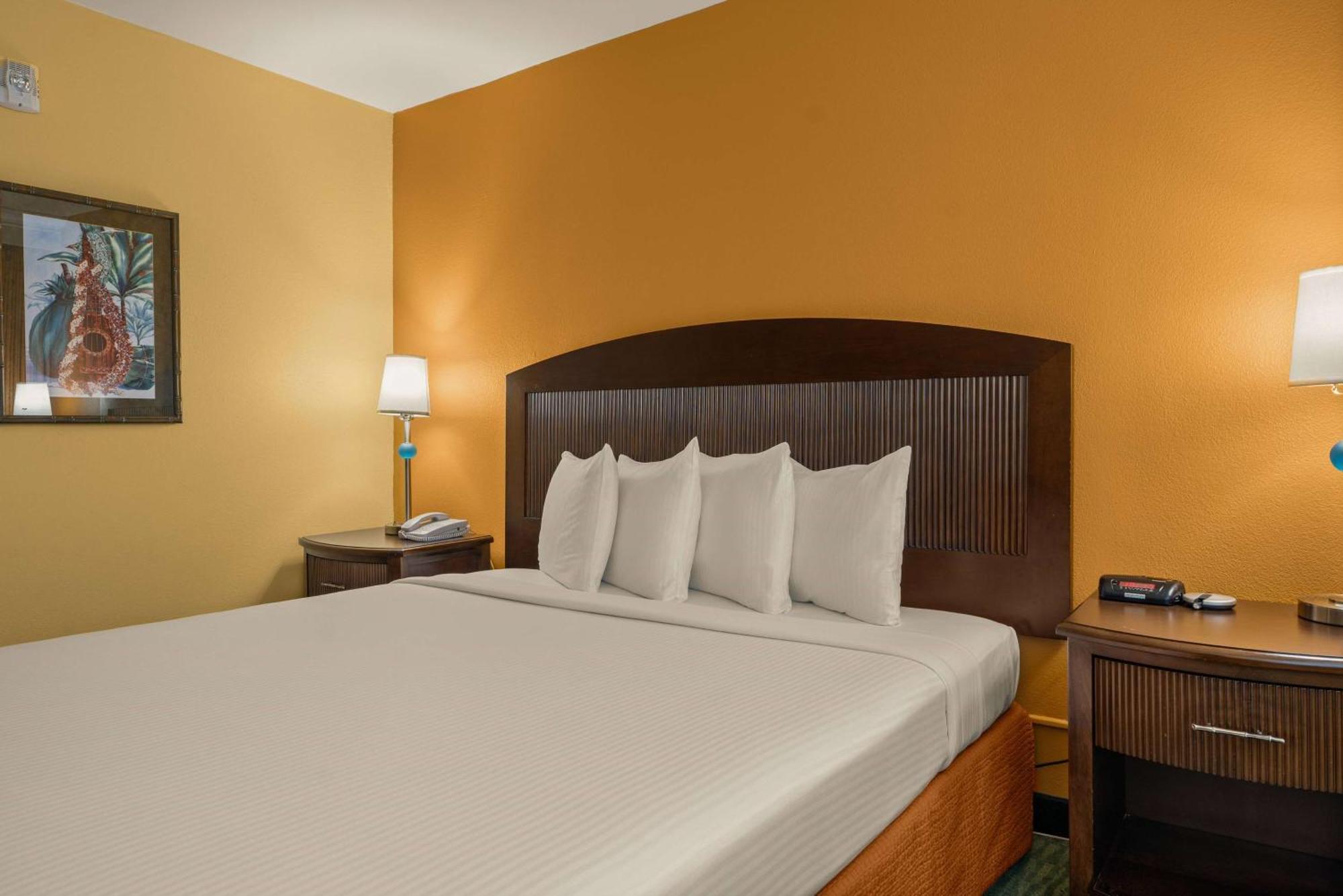 King Room with Bath Tub - Mobility/Hearing Accessible - Non-Smoking,1742641041:JPEG