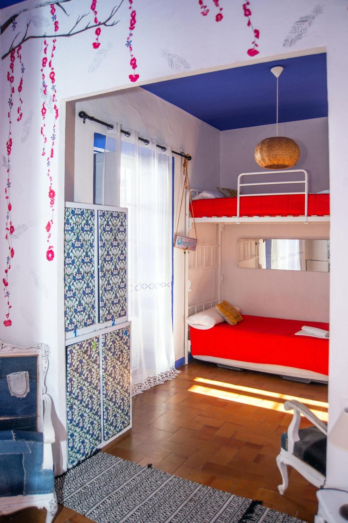 Single Bed 4-Bed Female Dormitory Room
