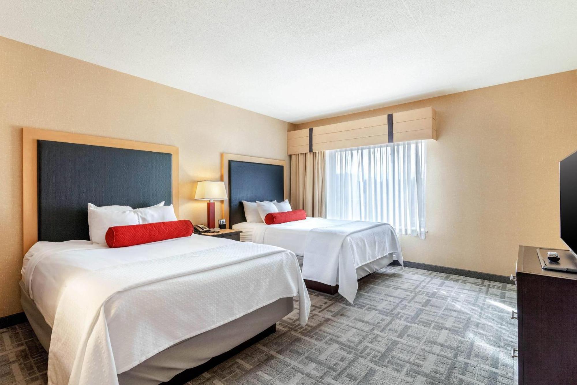 Suite con 2 camas grandes - No fumadores
