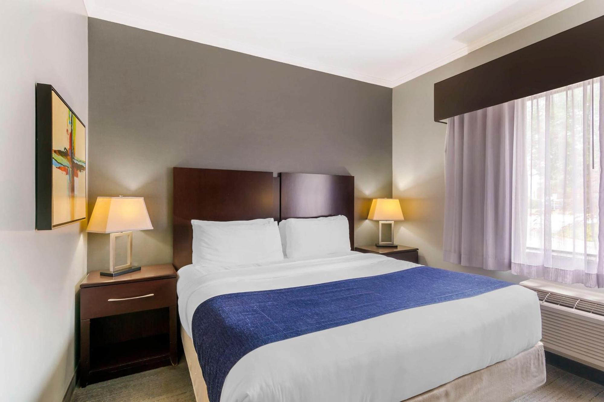 King Room with Roll-In Shower - Disability Access
