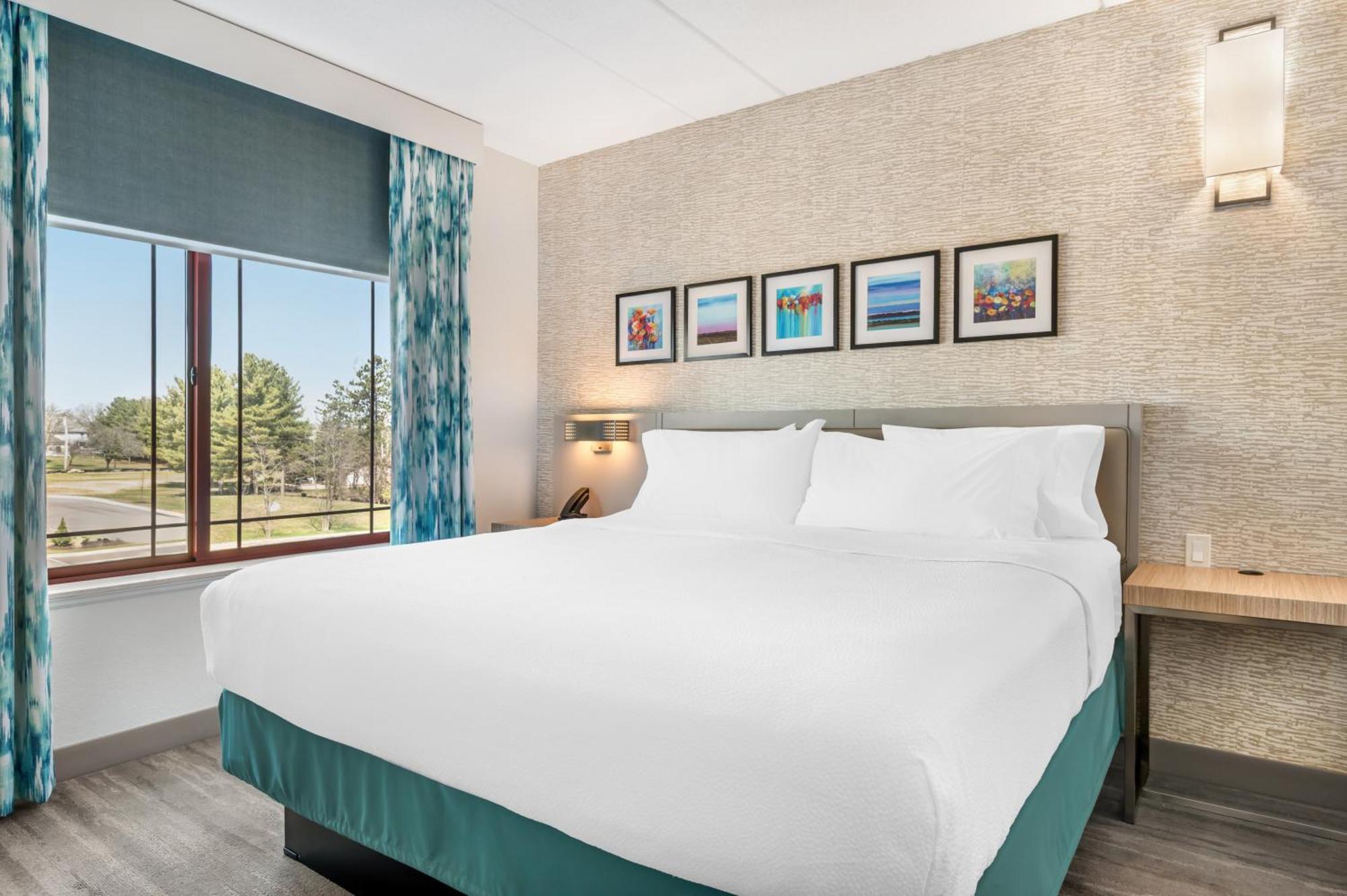 One-Bedroom King Suite Twin Sofa Bed