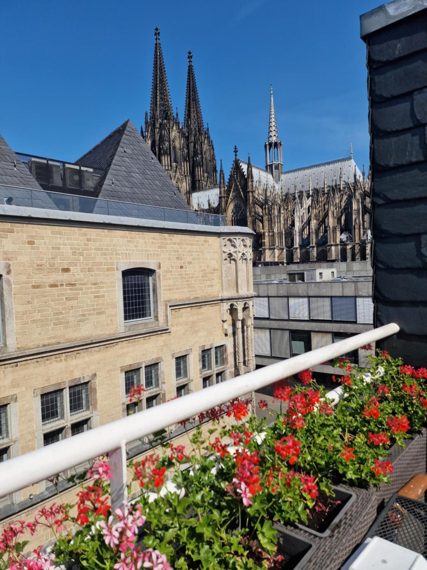 Junior Suite mit Terrasse