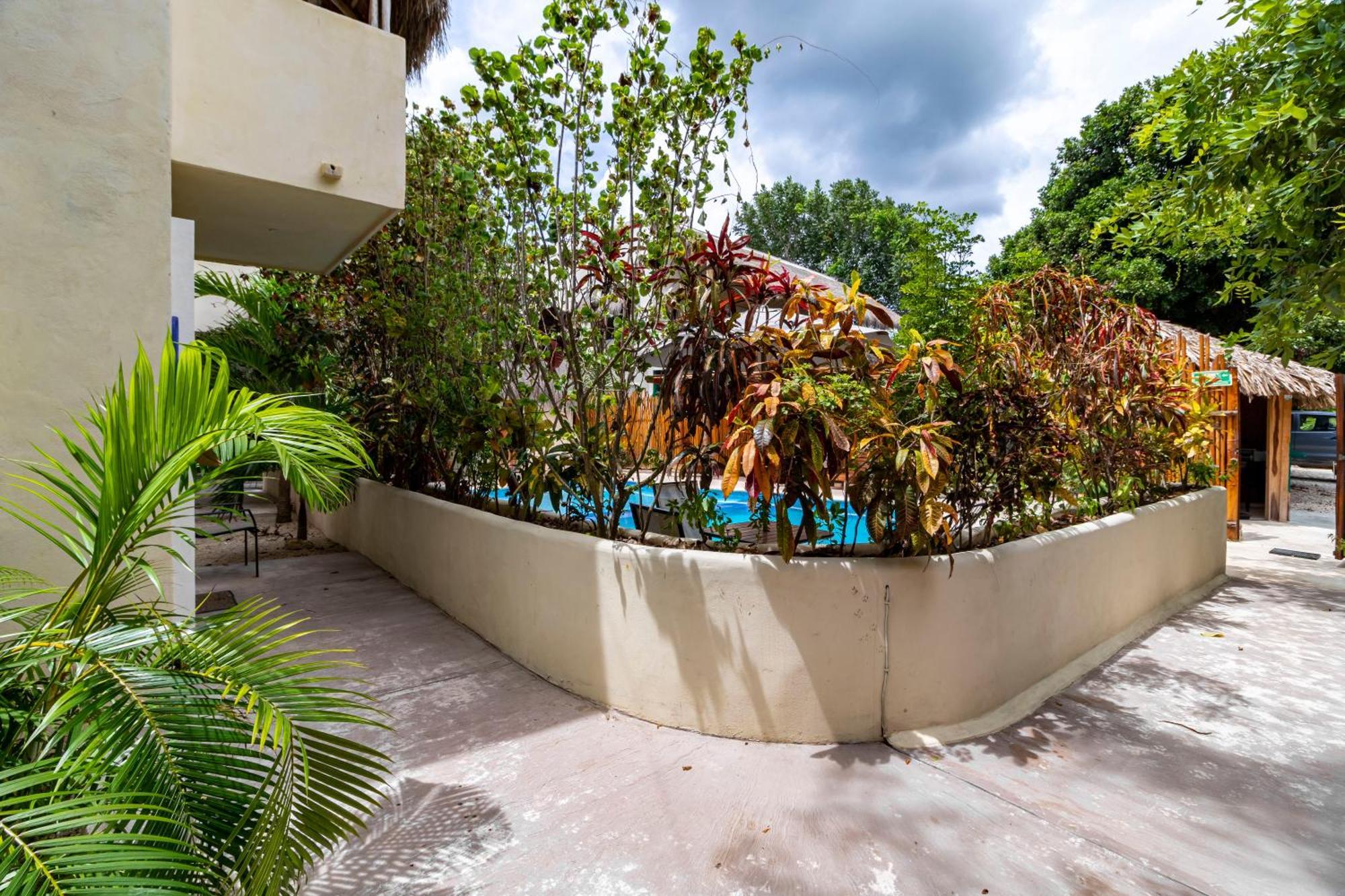 Junior Suite Garden View